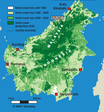  Maps  Palm  Oil 